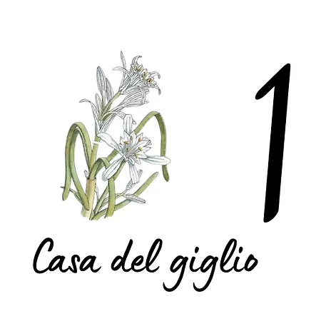 La Duna 아파트호텔 3*